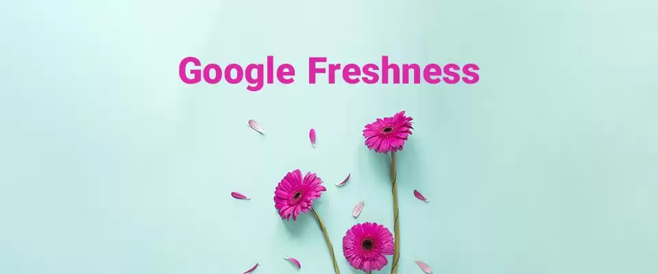 الگوریتم گوگل فرشنس (Google Freshness) چیست؟